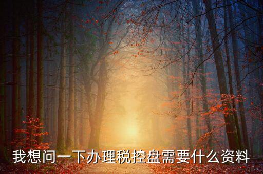 我想問(wèn)一下辦理稅控盤(pán)需要什么資料