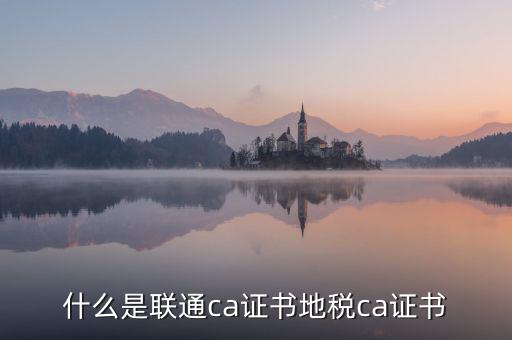 什么是地稅ca證書，社保CA地稅CA