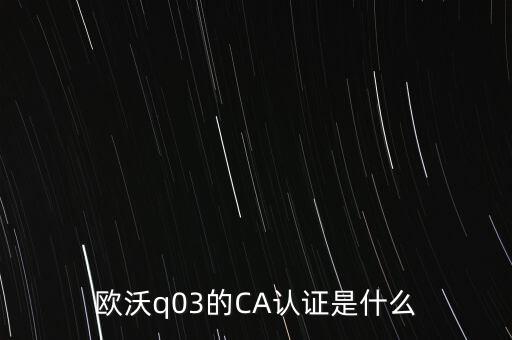 ca認(rèn)證密碼是什么意思，歐沃q03的CA認(rèn)證是什么