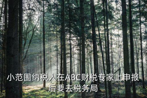 小范圍納稅人在ABC財(cái)稅專家上申報(bào)后要去稅務(wù)局