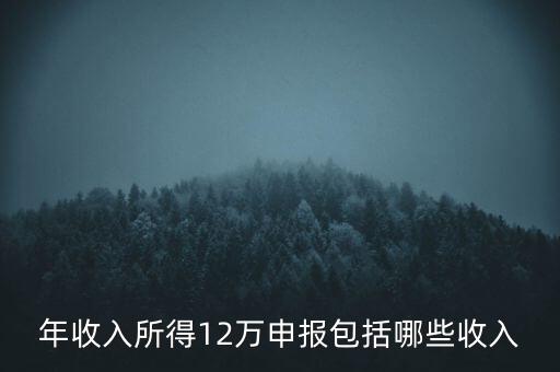 十二萬申報(bào)是什么，12萬個稅申報(bào)有什么用