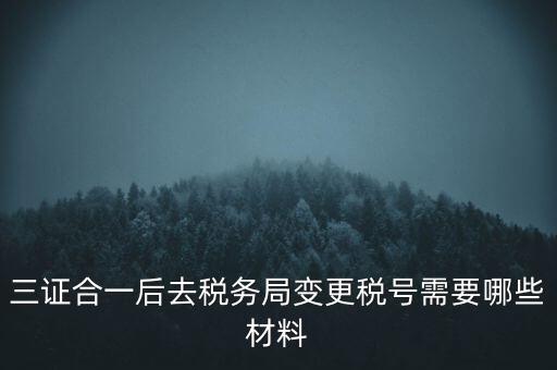 三證合一后去稅務局變更稅號需要哪些材料