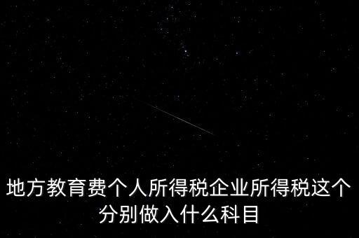 地方教育費個人所得稅企業(yè)所得稅這個分別做入什么科目