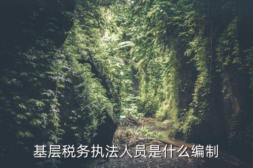 基層稅收執(zhí)法干什么的，基層稅務(wù)執(zhí)法人員是什么編制