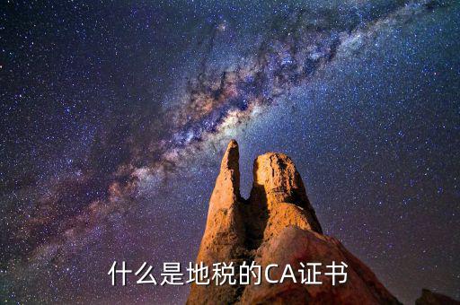 地稅ca棒是什么，什么是地稅的CA證書