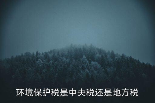 環(huán)境保護(hù)稅的機(jī)關(guān)是什么，環(huán)境保護(hù)稅由哪個(gè)機(jī)關(guān)負(fù)責(zé)征收