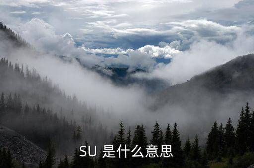 SU 是什么意思