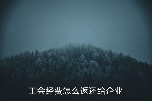 工會經(jīng)費怎么返還給企業(yè)