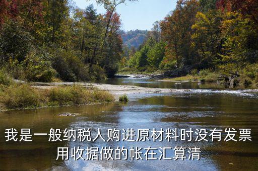 我是一般納稅人購進(jìn)原材料時沒有發(fā)票用收據(jù)做的帳在匯算清