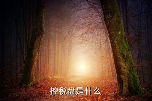 稅控盤是什么，稅控發(fā)票開票軟件 和金稅盤是什么意思