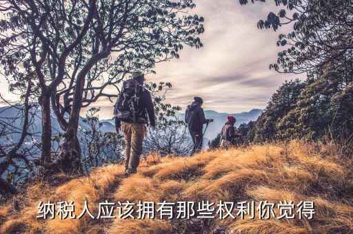 納稅人應(yīng)該擁有那些權(quán)利你覺得