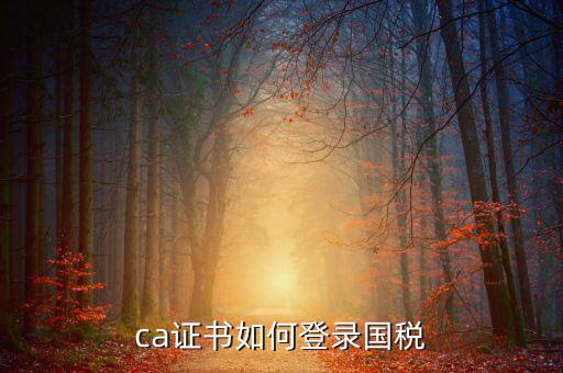 國稅登錄如何用ca登錄密碼是什么意思，國稅第一次網(wǎng)上申報的登陸密碼是什么