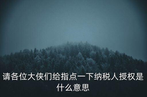 納稅人獲得感是什么意思，請(qǐng)各位大俠們給指點(diǎn)一下納稅人授權(quán)是什么意思