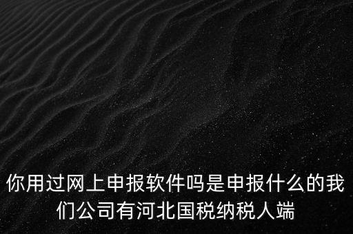 你用過網(wǎng)上申報(bào)軟件嗎是申報(bào)什么的我們公司有河北國稅納稅人端