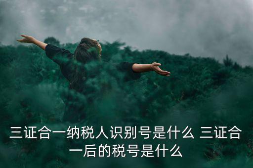 三證合一后稅號(hào)是什么，三證合一納稅人識(shí)別號(hào)是什么 三證合一后的稅號(hào)是什么