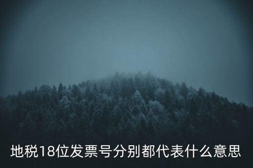 地稅18位發(fā)票號(hào)分別都代表什么意思