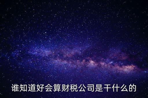 誰知道好會算財稅公司是干什么的