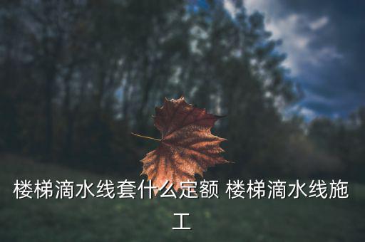 江蘇滴水套什么定額，滴水線套什么定額