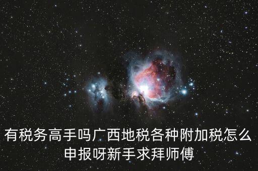 廣西地稅每個(gè)月要申報(bào)什么內(nèi)容，有稅務(wù)高手嗎廣西地稅各種附加稅怎么申報(bào)呀新手求拜師傅