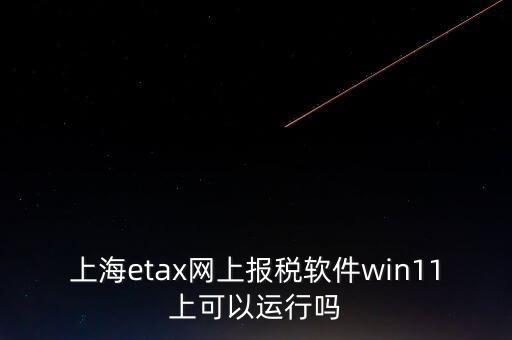 上海網(wǎng)上報稅什么軟件，上海etax網(wǎng)上報稅軟件win11上可以運行嗎