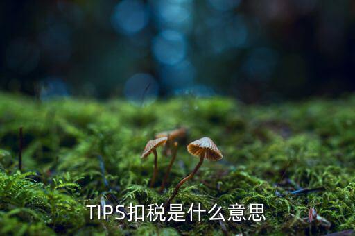 tips是什么扣款，TIPS扣稅是什么意思