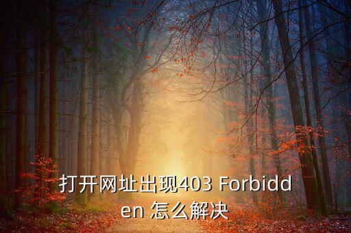 打開網(wǎng)址出現(xiàn)403 Forbidden 怎么解決