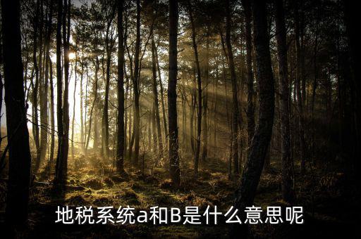 地稅b戶是什么意思，地稅系統(tǒng)a和B是什么意思呢