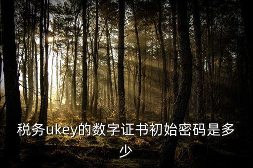 稅務(wù)ukey的數(shù)字證書初始密碼是多少