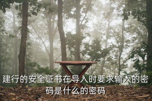 建行的安全證書在導(dǎo)入時(shí)要求輸入的密碼是什么的密碼