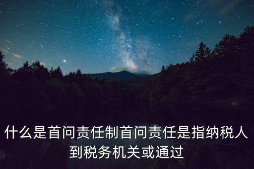 稅務(wù)首問責(zé)任制是什么，首問負(fù)責(zé)制度是指什么