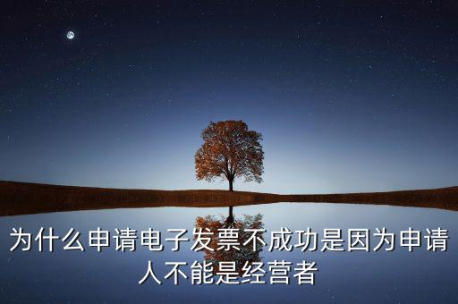 發(fā)票網(wǎng)上申領(lǐng)失敗什么原因，電子發(fā)票網(wǎng)上申領(lǐng)結(jié)果是2