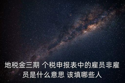 地稅金三期 個(gè)稅申報(bào)表中的雇員非雇員是什么意思 該填哪些人