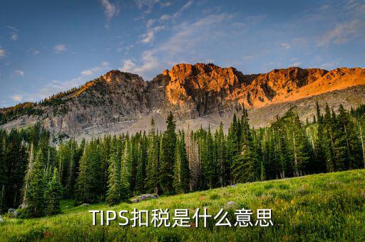 什么叫tips扣款，tips扣款和大廳扣款區(qū)別