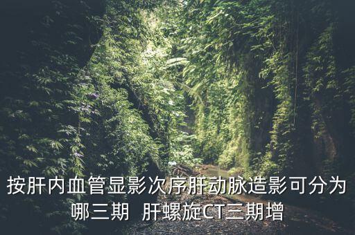 為什么要做三期增強(qiáng)，按肝內(nèi)血管顯影次序肝動脈造影可分為哪三期  肝螺旋CT三期增