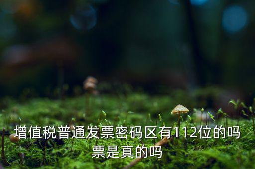 增值稅普通發(fā)票密碼區(qū)有112位的嗎票是真的嗎