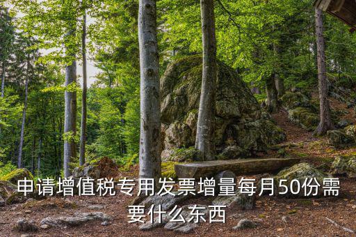 申請?jiān)鲋刀悓Ｓ冒l(fā)票增量每月50份需要什么東西