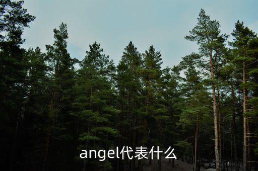 實(shí)體化管理什么意思，angel代表什么