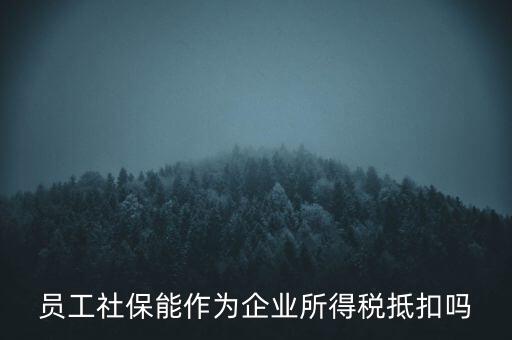 企業(yè)社保可以抵什么稅，員工社保能作為企業(yè)所得稅抵扣嗎