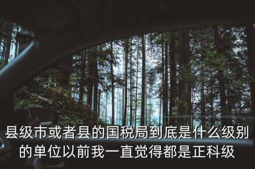 縣國稅局辦稅服務(wù)廳主任是什么級別，縣地稅局辦公室主任是什么行政級別