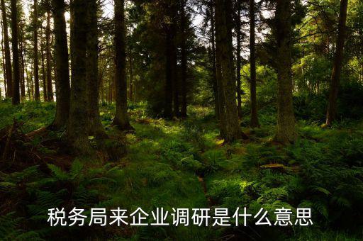 稅務局走訪企業(yè)一般干什么，稅務局來查公司的話是查什么方面啊