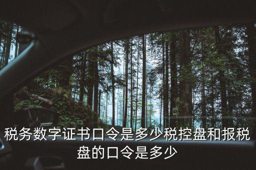 國稅證書口令是什么，我想問下國家稅務(wù)網(wǎng)上申報點(diǎn)擊安全登錄時出現(xiàn)的用戶口令是什么