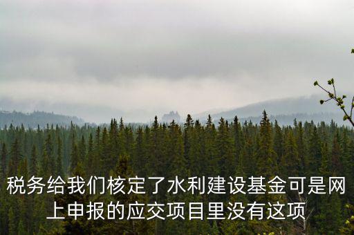 稅務(wù)給我們核定了水利建設(shè)基金可是網(wǎng)上申報(bào)的應(yīng)交項(xiàng)目里沒(méi)有這項(xiàng)