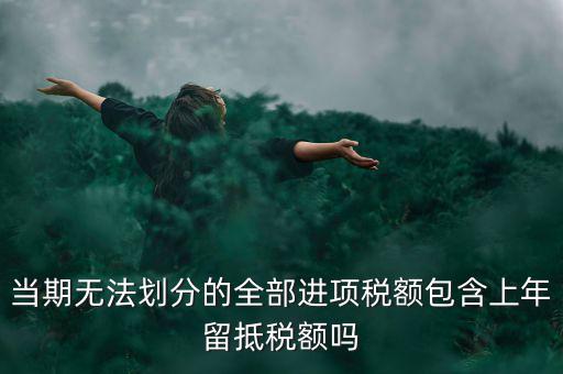 當期無法劃分的全部進項稅額包含上年留抵稅額嗎