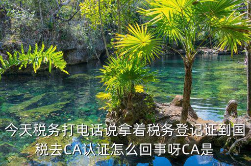 電子稅務(wù)局什么是ca登錄，網(wǎng)上報(bào)稅CA驗(yàn)證系統(tǒng)是甚么