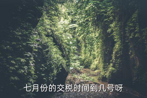 福建地稅7月報稅到什么時候，請問7月份國稅地稅的征期截止到哪天