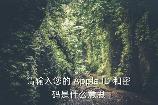 查詢個稅 密碼是輸入什么，請輸入您的 Apple ID 和密碼是什么意思