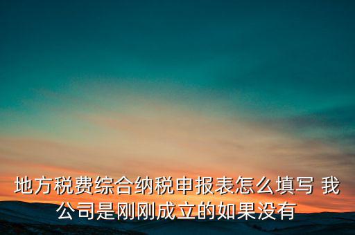 地稅不開票需填什么表，地方稅費(fèi)綜合納稅申報(bào)表怎么填寫 我公司是剛剛成立的如果沒有