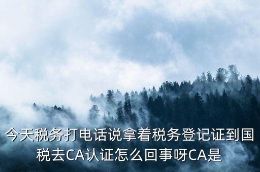 今天稅務(wù)打電話說拿著稅務(wù)登記證到國稅去CA認證怎么回事呀CA是