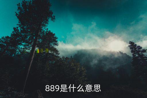 889是什么意思