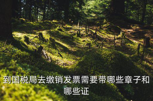 繳銷出口商品統(tǒng)一發(fā)票要蓋什么章，到國稅局去繳銷發(fā)票需要帶哪些章子和哪些證